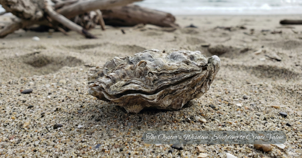 The Oyster’s Wisdom: Shielding to Create Value